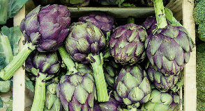 Artichokes