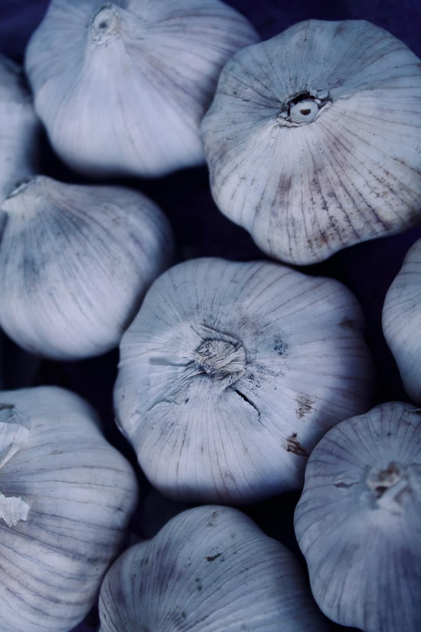 Garlic image