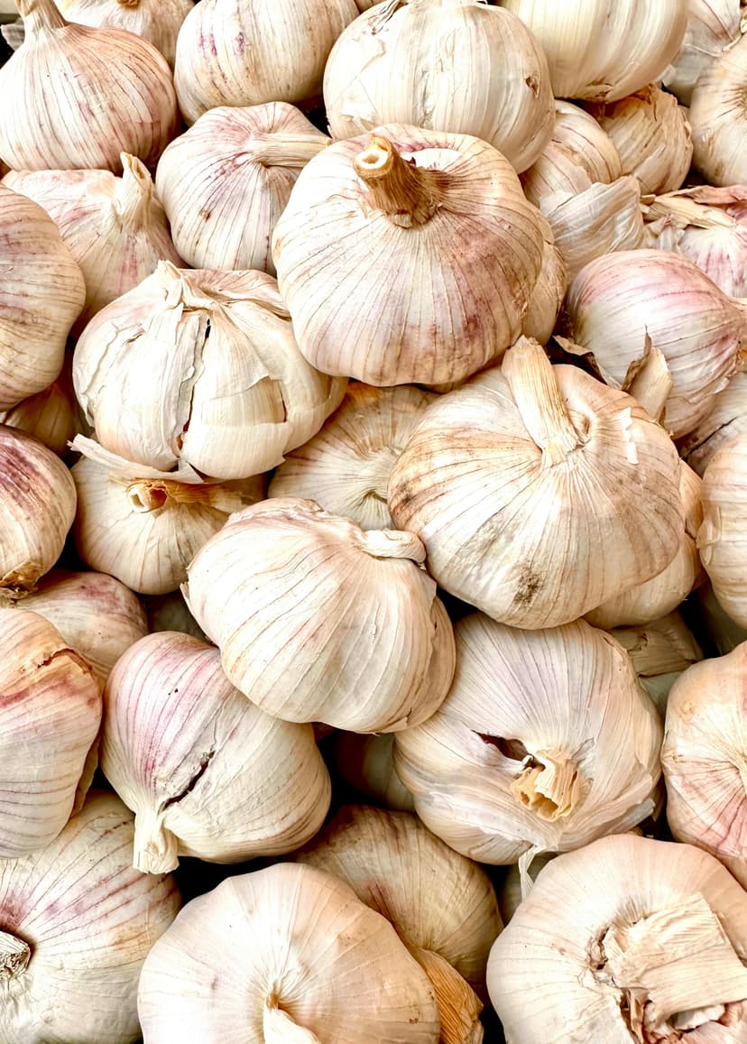 Garlic image