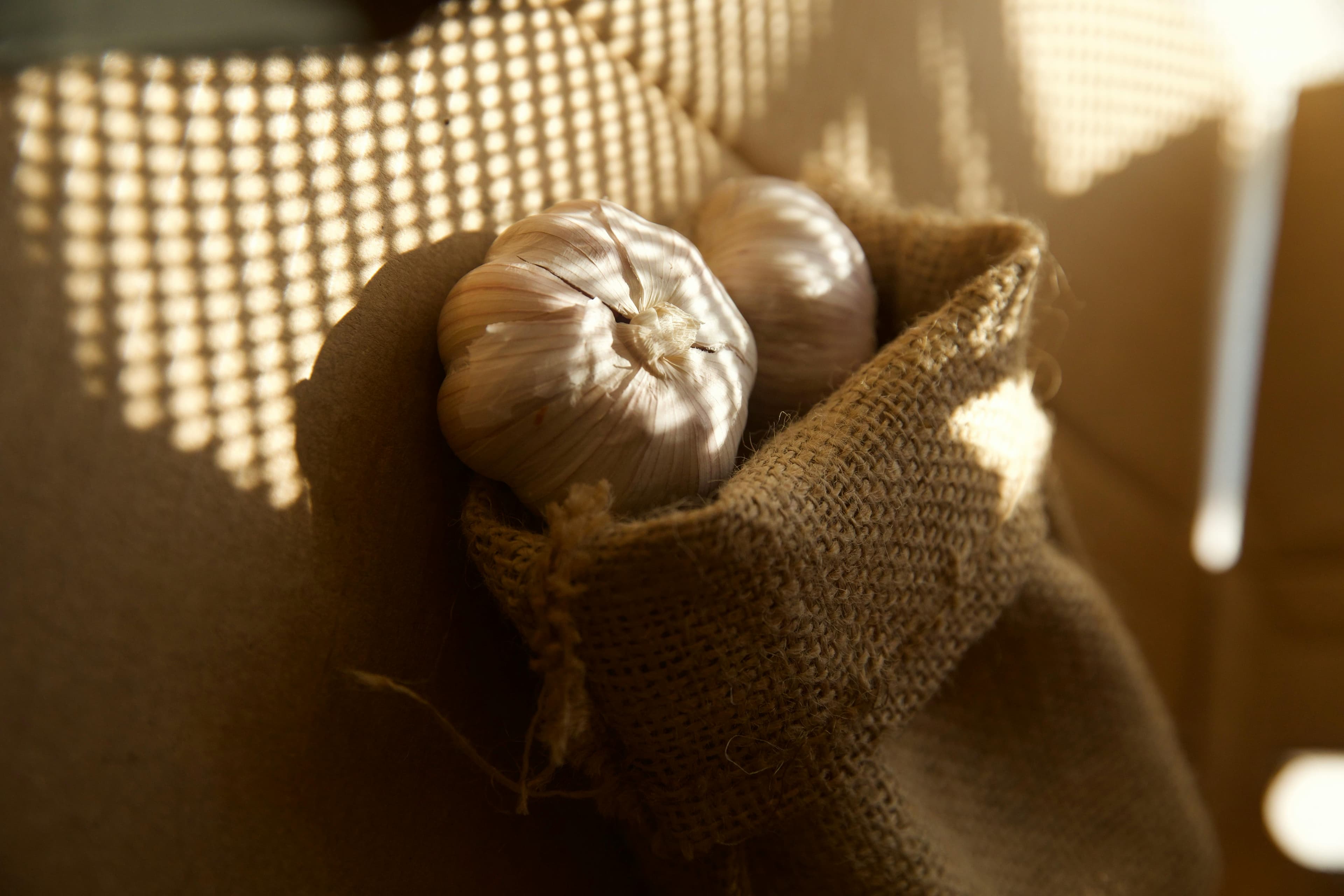 Garlic