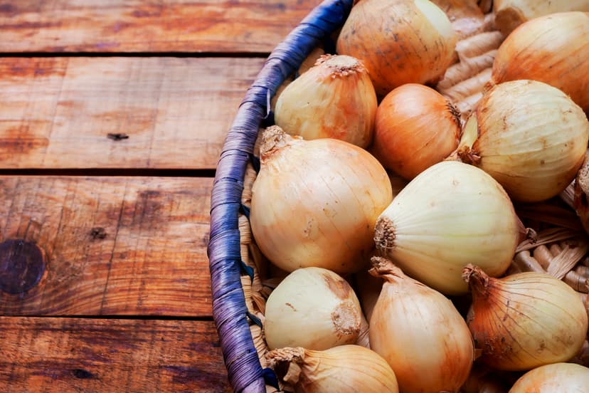Golden Onion image