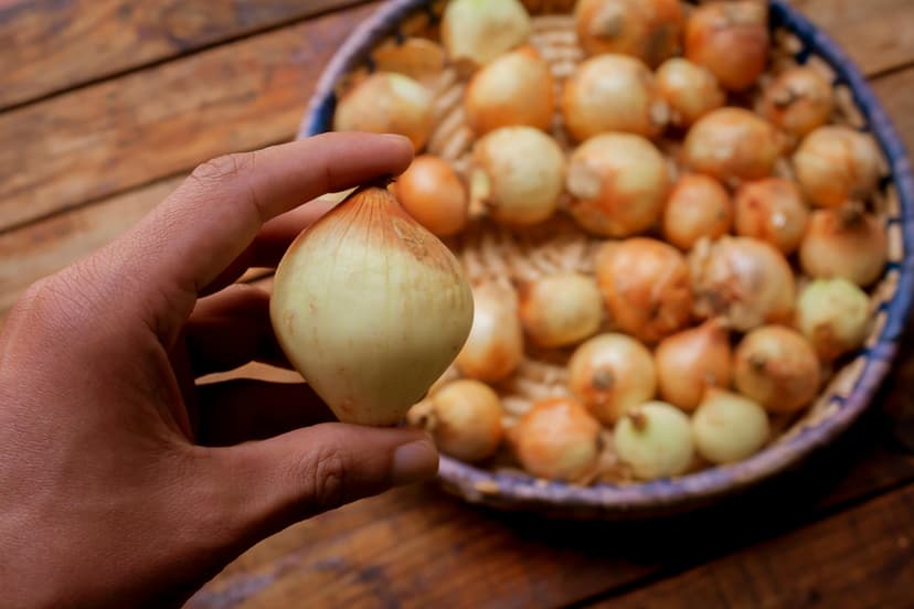 Golden Onion image