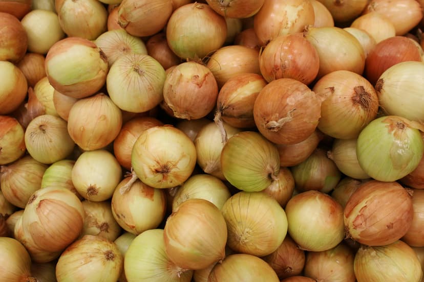 Golden Onion image