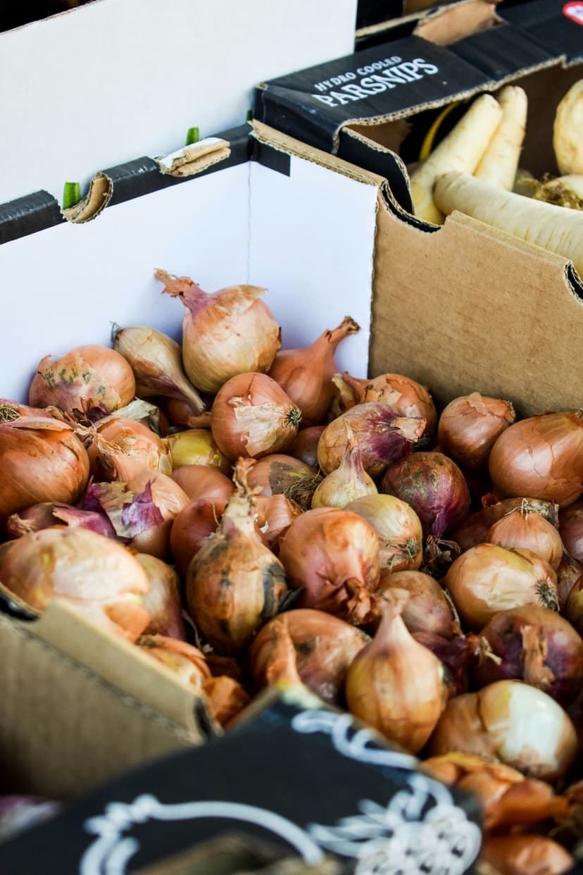 Golden Onion image