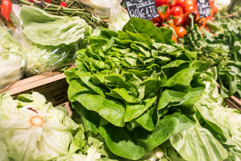 Iceberg Lettuce image