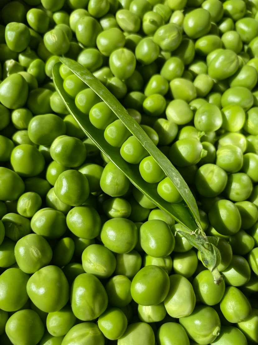 Mange Tout Peas image