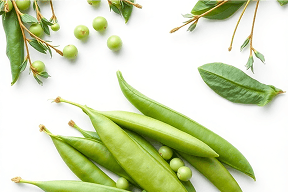 Mange Tout Peas
