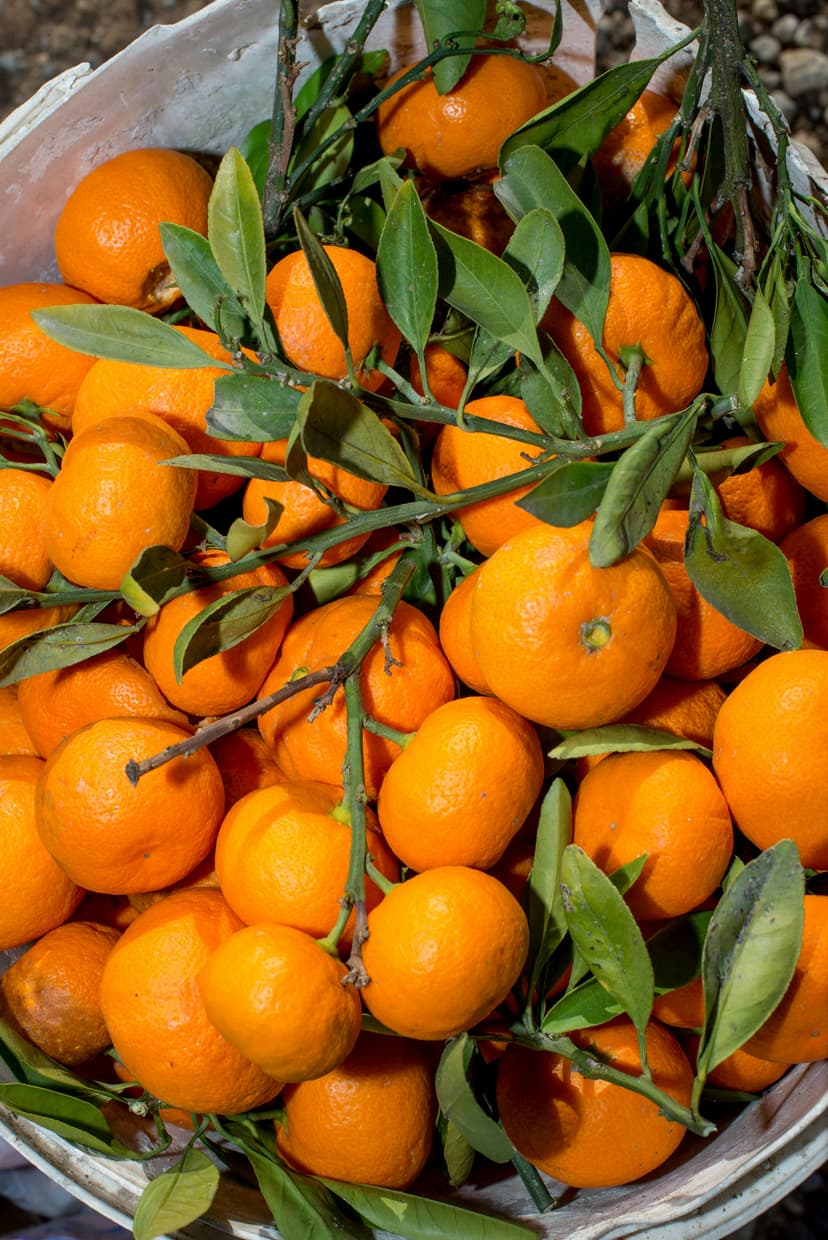 Oranges image