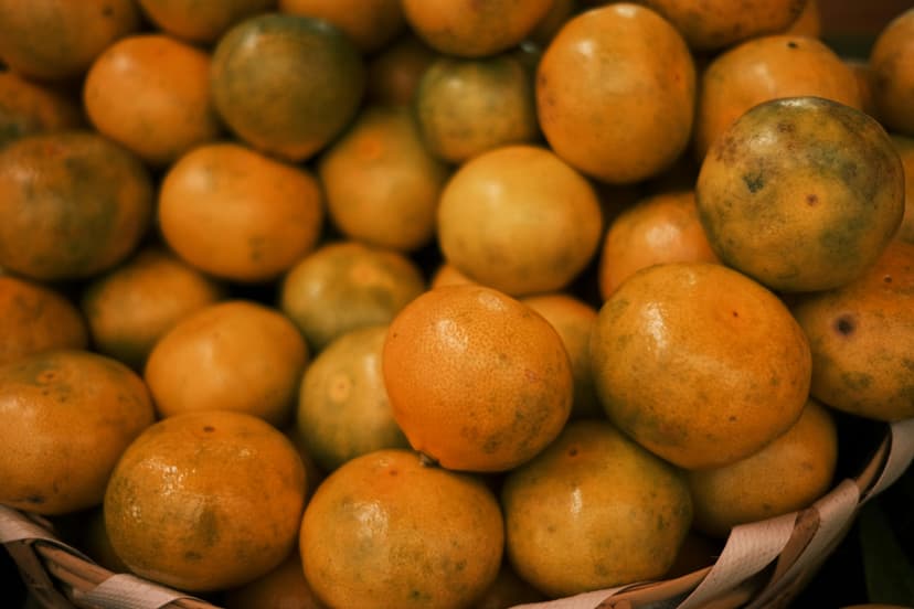 Oranges image