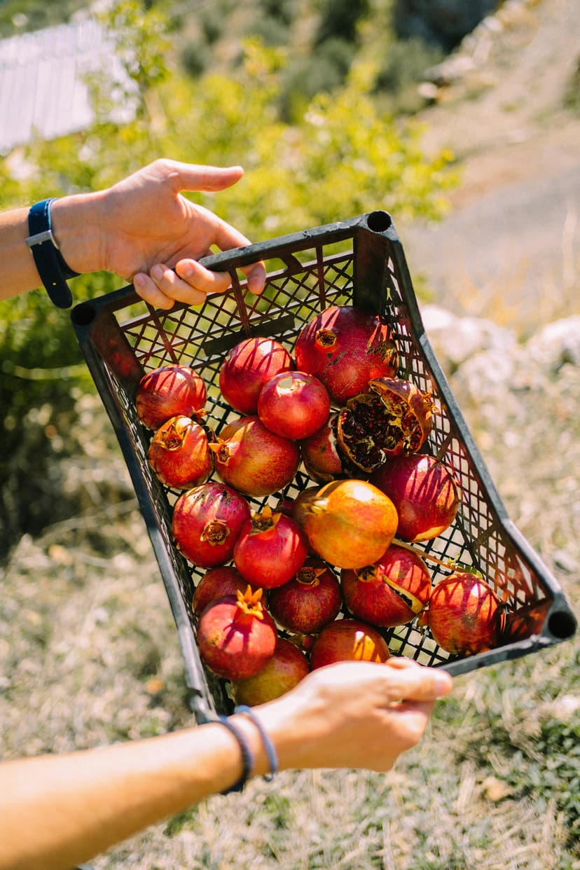 Pomegranates image