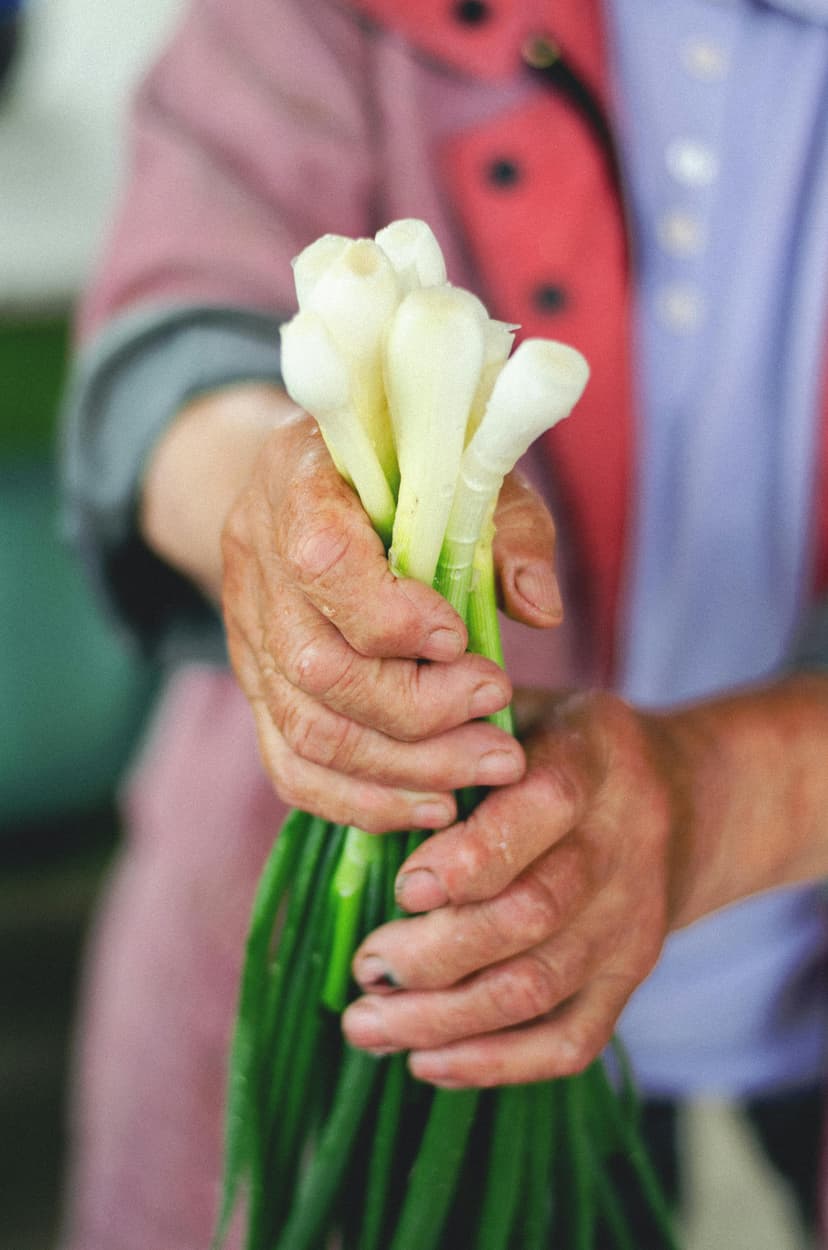 Spring Onions image
