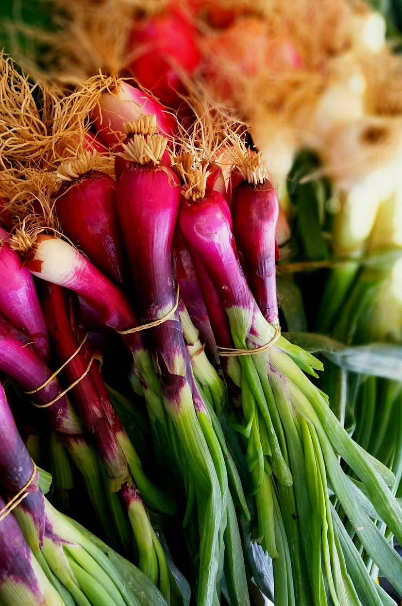 Spring Onions image