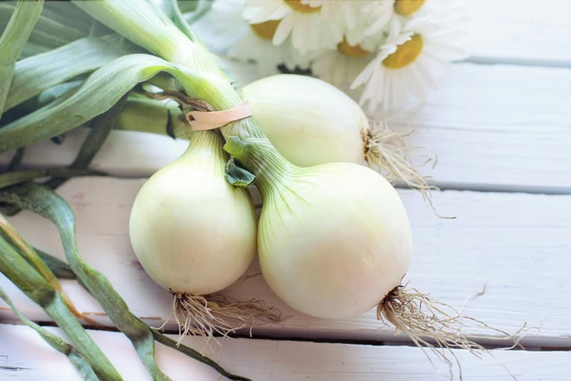 Spring Onions image