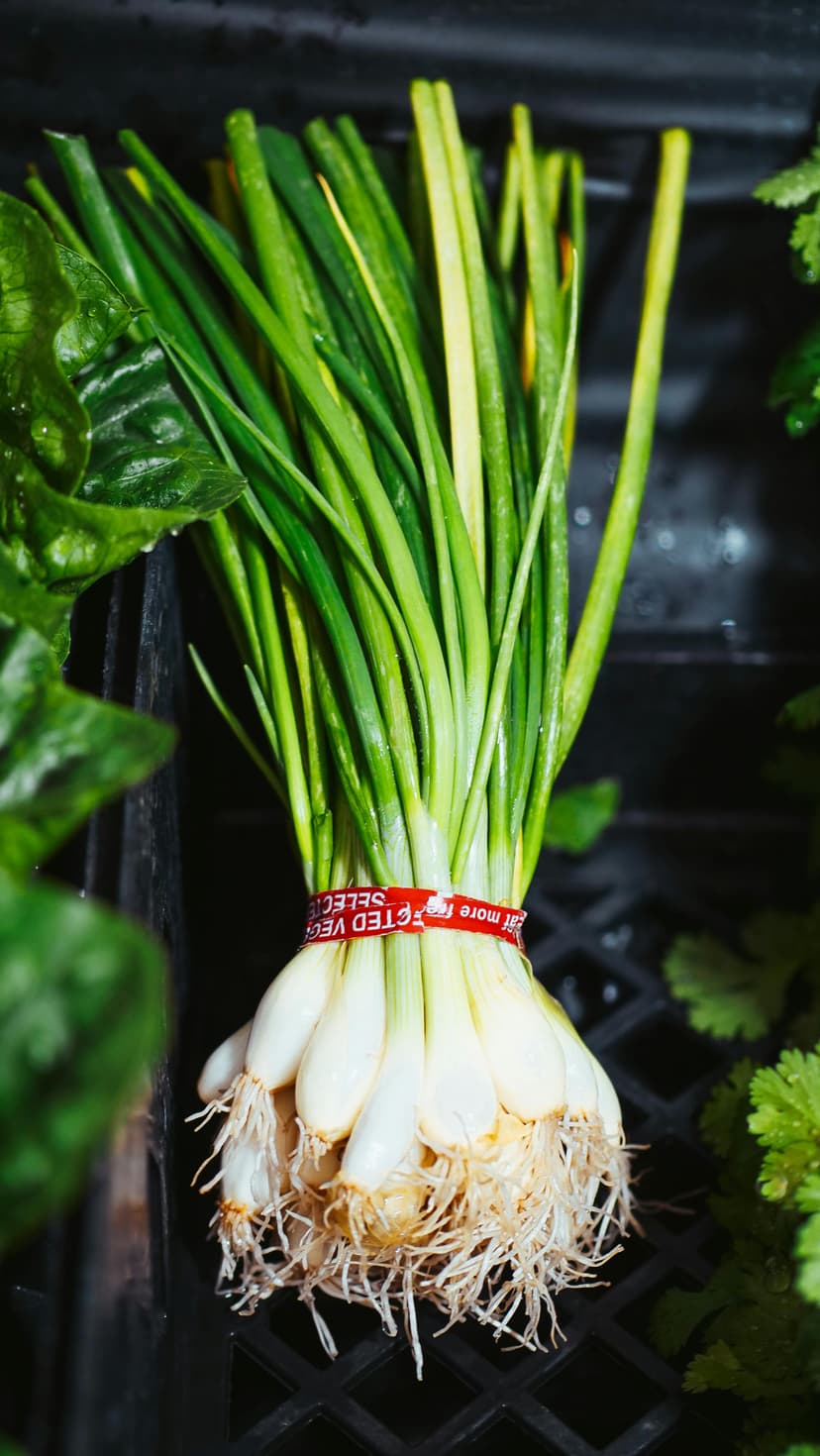 Spring Onions image