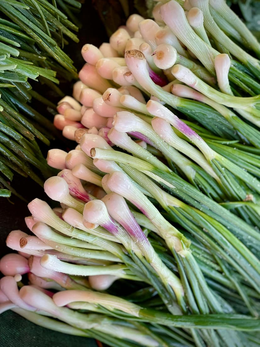Spring Onions image