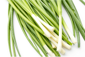 Spring Onions