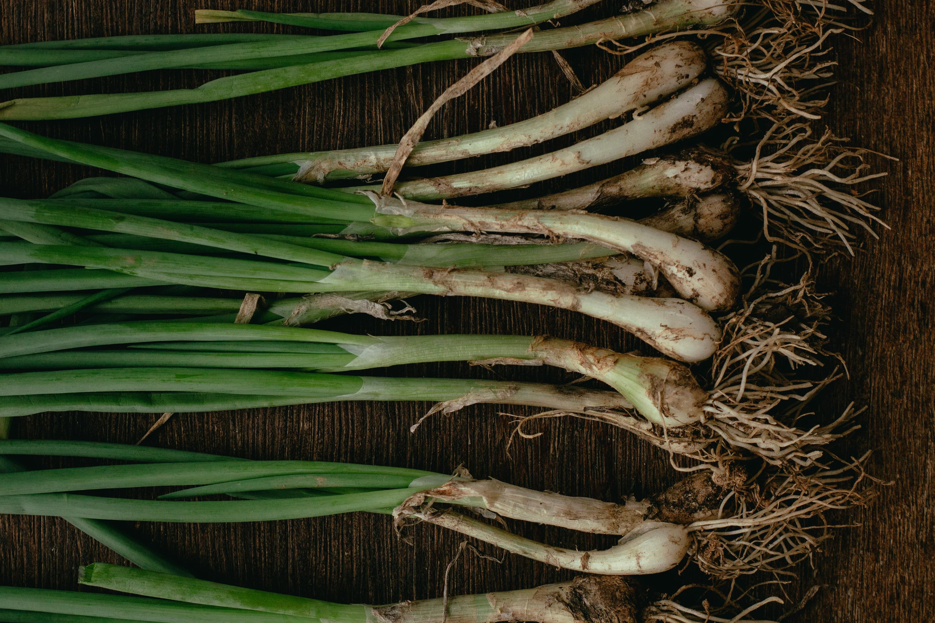 Spring Onions