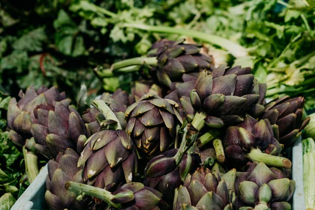 Artichokes