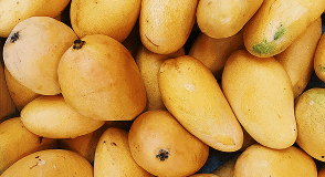 Mangoes